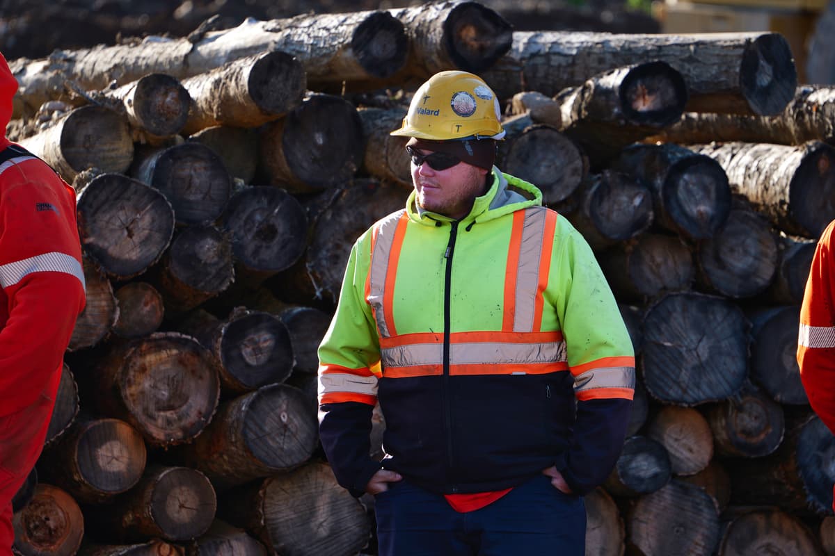 A crew member stands by stacked salvaged timber from right-of-way clearing.